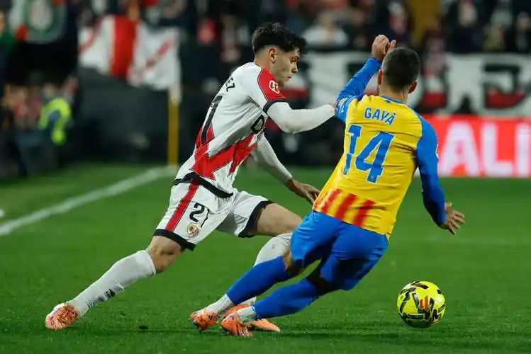 雨燕免费直播在线观看